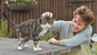 Престарелый кот вернулся домой спустя 13 лет скитаний