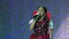В Каменке с сольным концертом выступила 12-летняя артистка