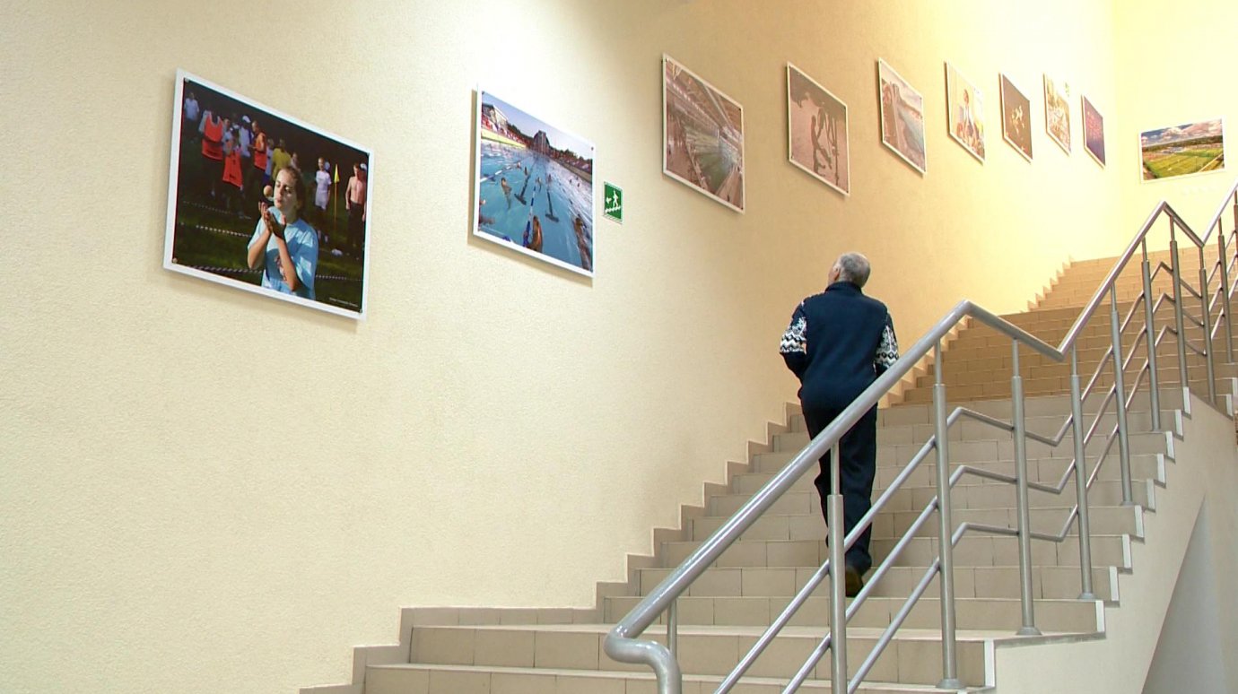 Интерьер дворца единоборств «Воейков» украсили спортивные фотографии