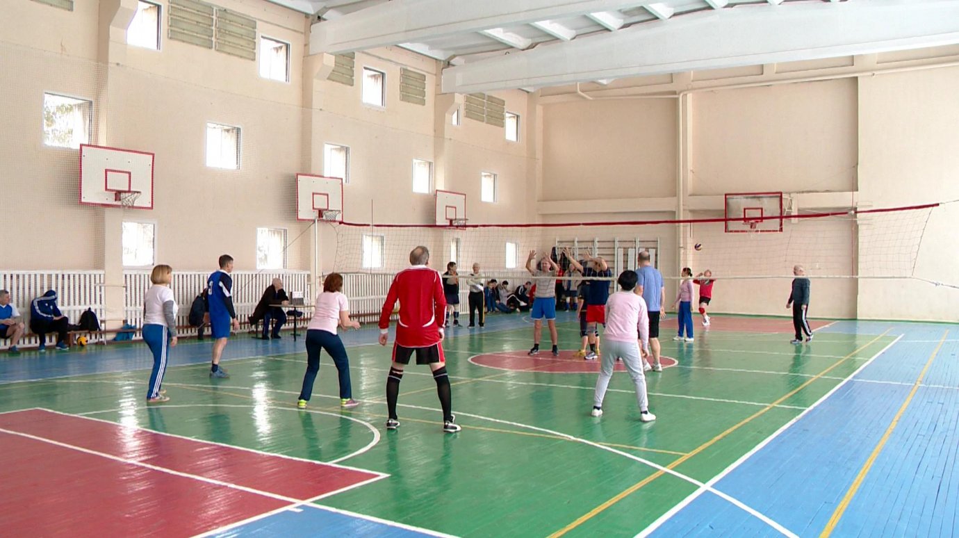 В Пензе работники образовательных учреждений сыграли в волейбол