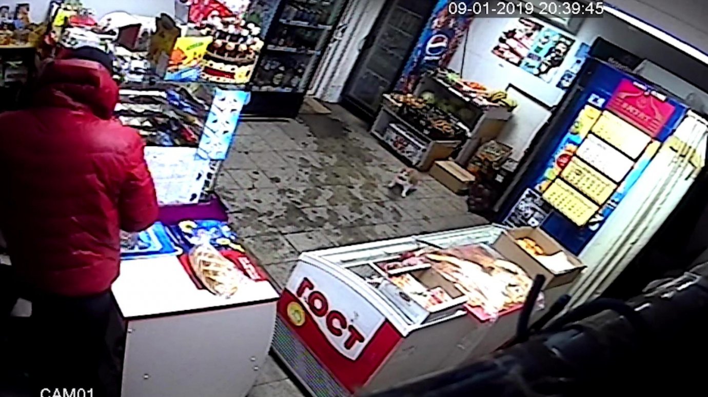 Пензенец с игрушечным пистолетом пытался забрать деньги из магазина