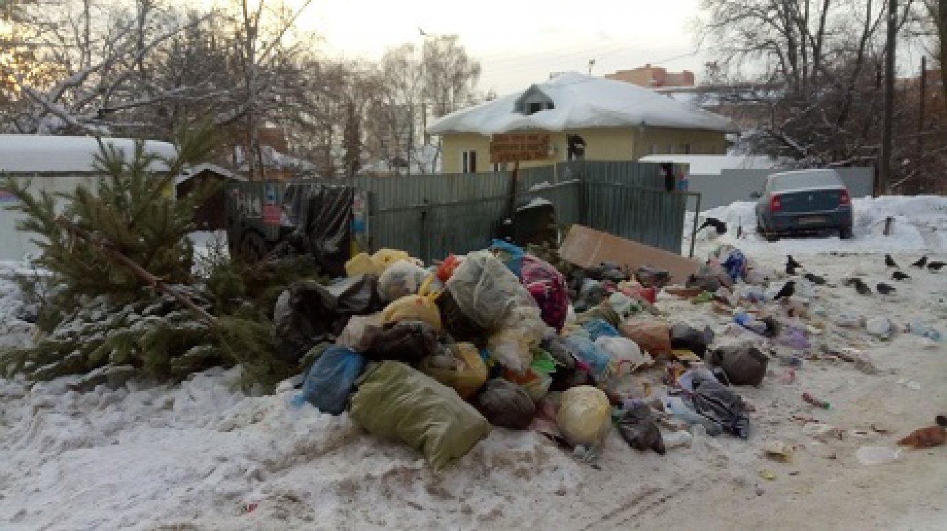 Пензенцы выбрасывают мусор на землю, игнорируя пустые контейнеры