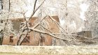 На улице Воровского выпавший снег поломал ветки деревьев