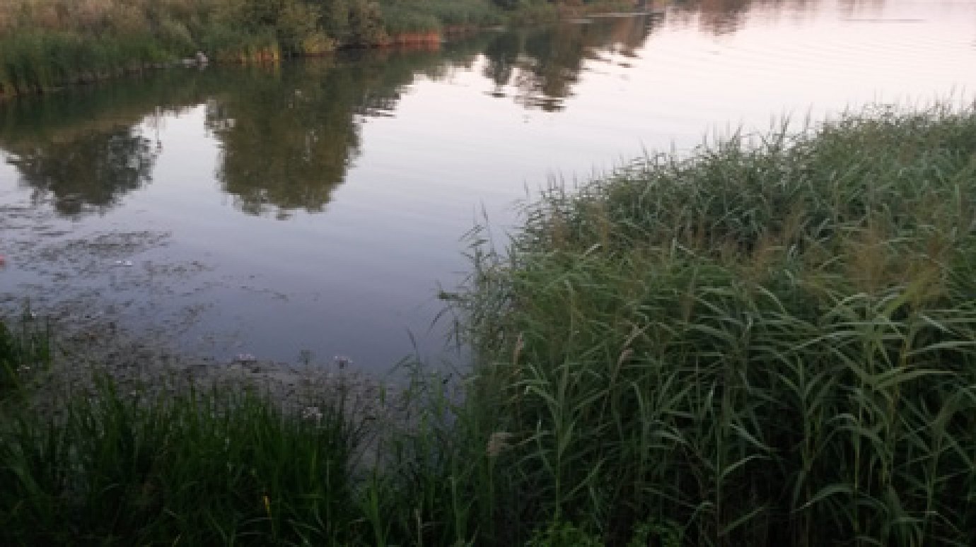 В Пензенской области до конца 2019 года расчистят два водоема