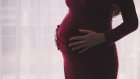 Губернатор: В январе 27 жительниц области отказались от аборта