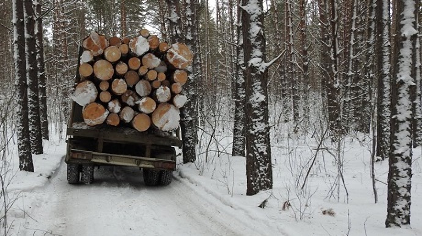 В Пензенской области будут проверять документы у водителей лесовозов