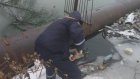 Полиция установила личность мужчины, утонувшего в реке Пензе