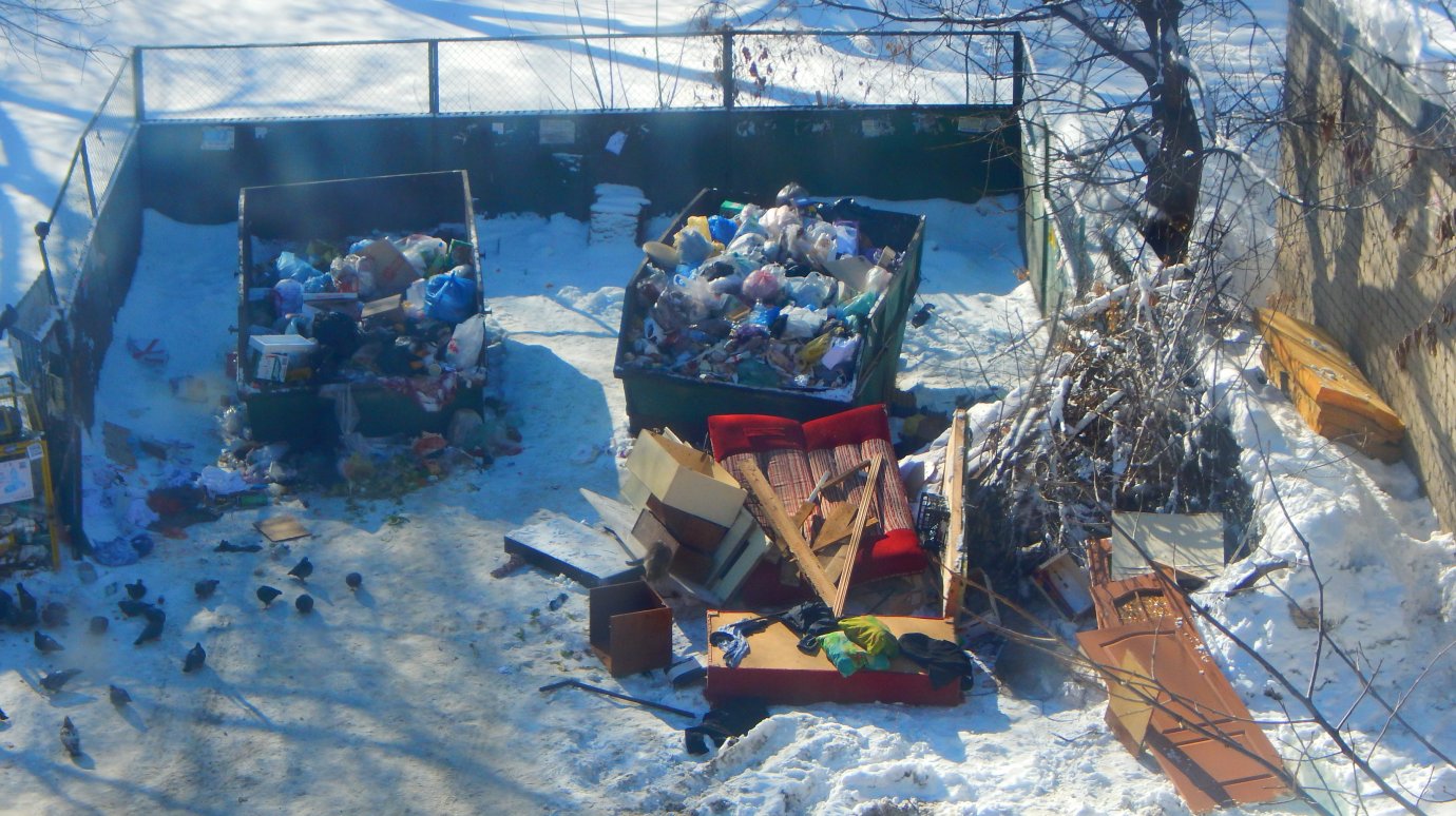 Пензенцы не хотят смотреть на горы мусора во дворе