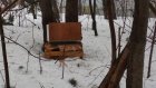 Отмечавшие Масленицу пензенцы захламили лес на Западной Поляне