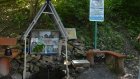 В Кузнецке у Шурчавого родника разместят стенды с описанием природы