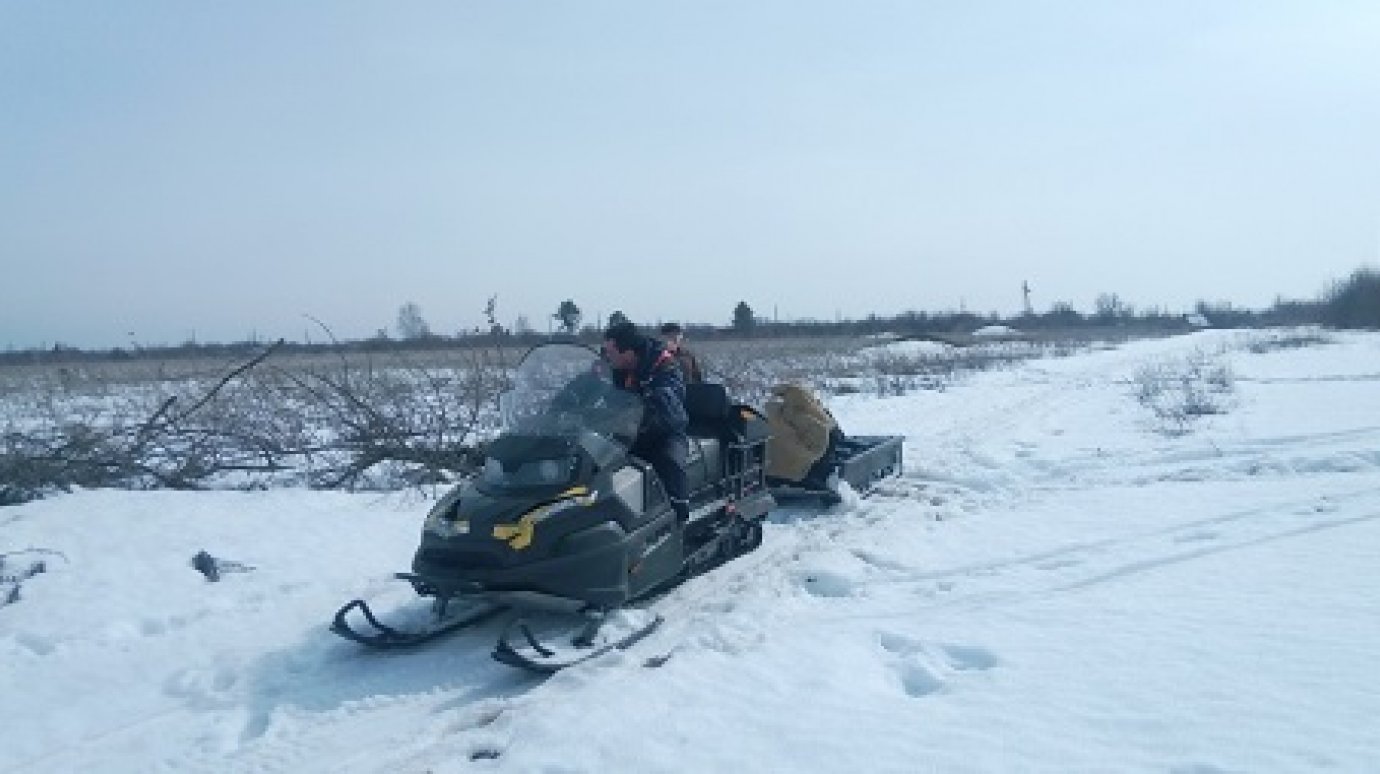 В Пензе спасатели на снегоходе эвакуировали парализованного дачника
