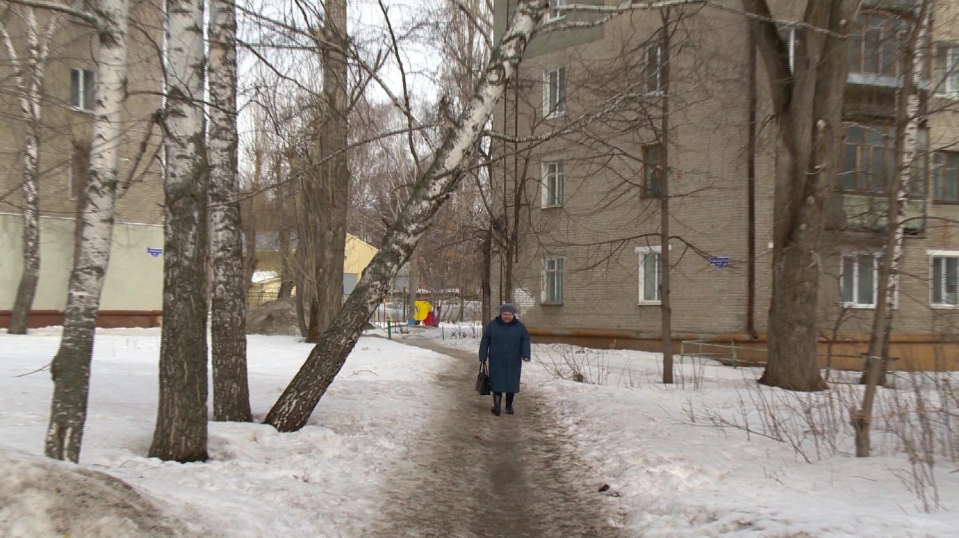 На улице Циолковского наклонившаяся береза может рухнуть на пешеходов
