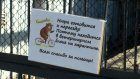 Медведица Нюра покинула Пензу и отправилась в Минск