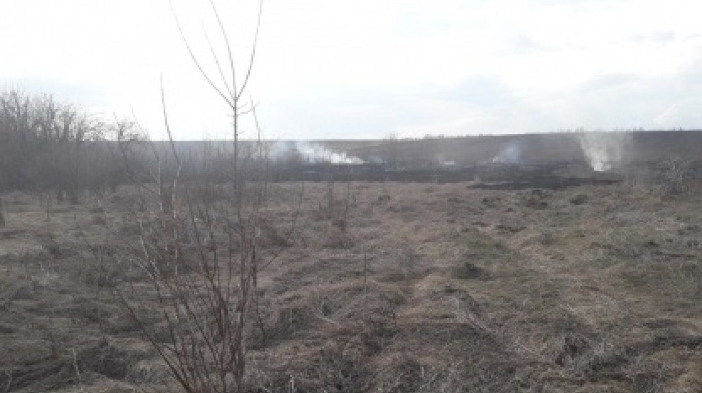 Погибший на горящем поле в Вертуновке мужчина мог отравиться окисью углерода