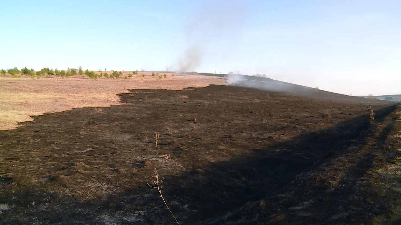 В Пензенской области в апреле в пожарах пострадало 68 гектаров земли