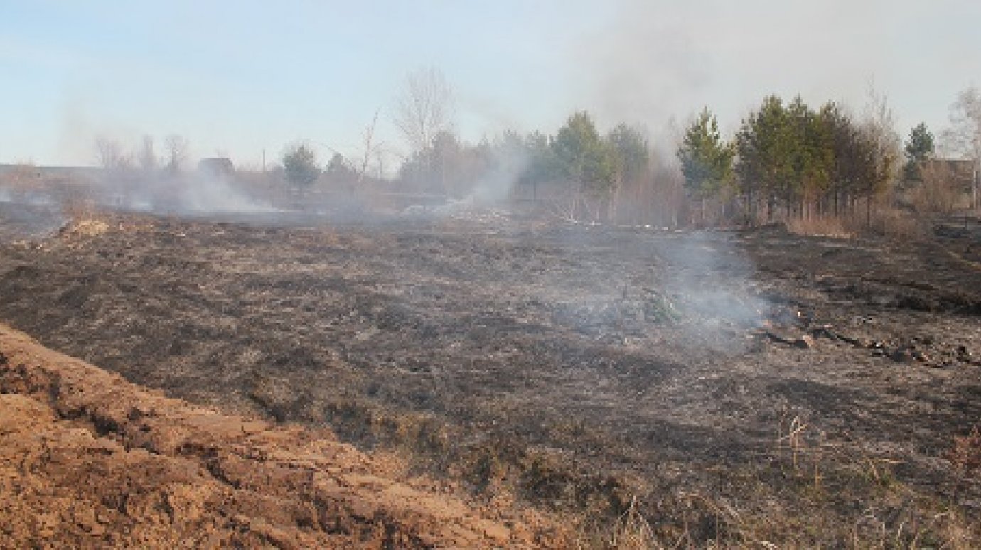 В Бессоновсом районе вместе с сухой травой сгорели дачи
