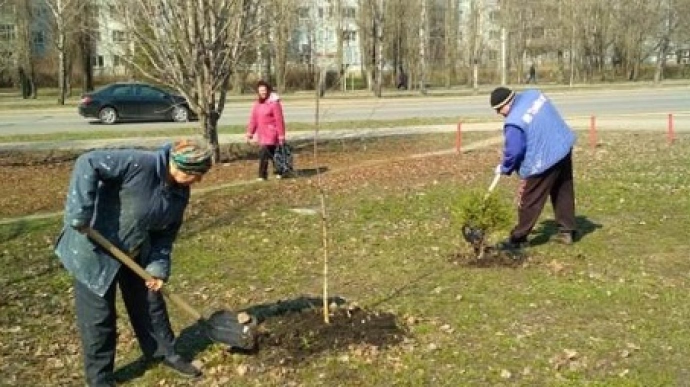 Пензенцы на субботнике убрали 102 свалки и высадили 1 200 деревьев