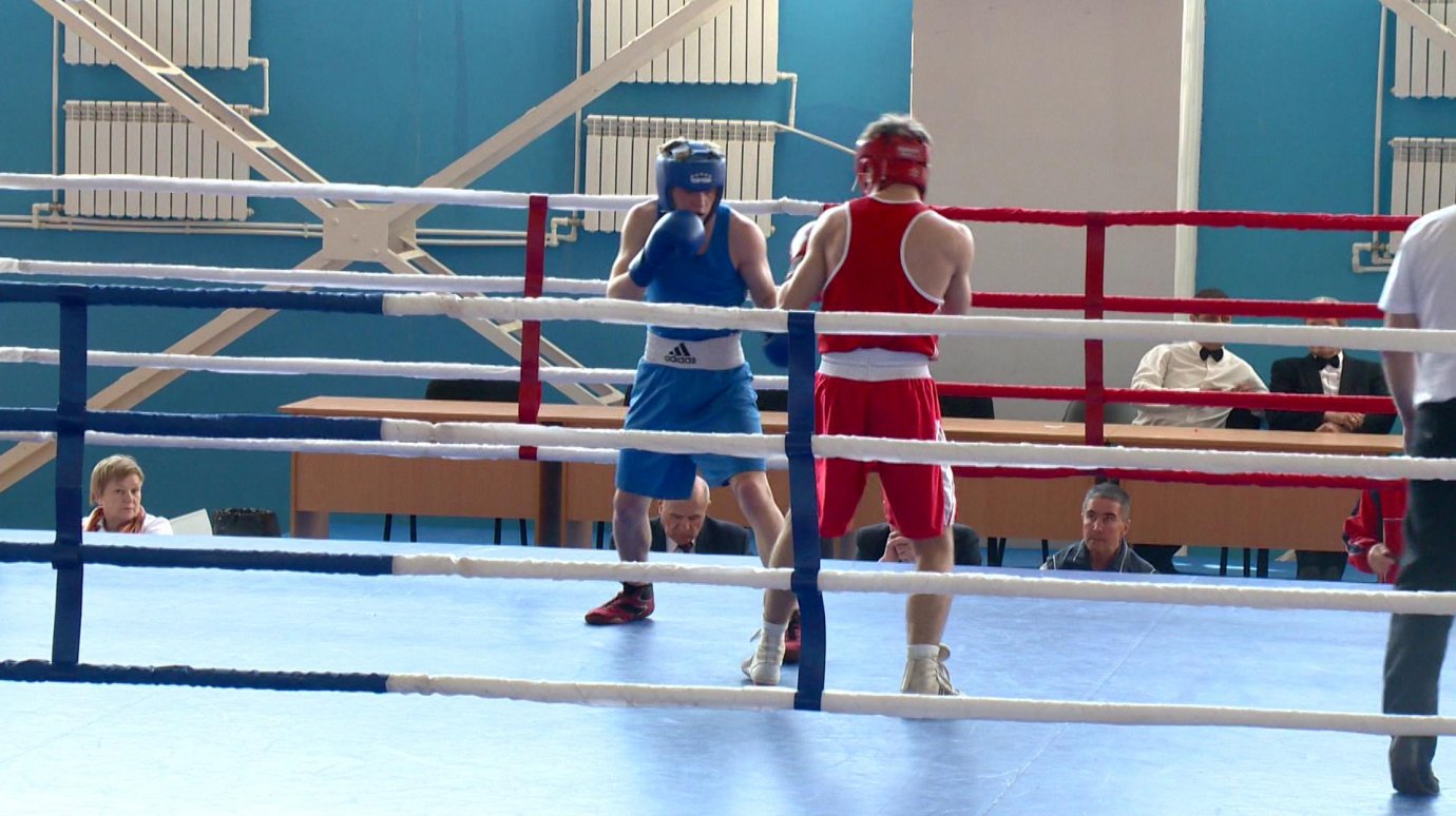 В «Воейкове» открылись региональные соревнования по боксу
