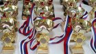 Пензенские росгвардейцы привезли призы с окружного чемпионата по плаванию