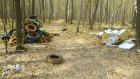 Свалка в Арбековском лесу вызвала негодование пензенцев