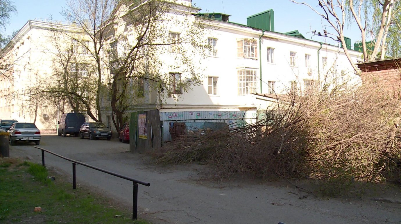 На улице Лермонтова срубленные ветки мешают пройти к мусорке