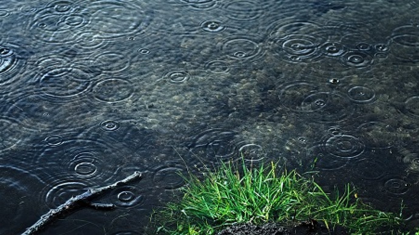 3 мая в Пензенской области ожидается потепление и дождь