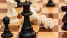 Пензенцев приглашают на пасхальный шахматный турнир
