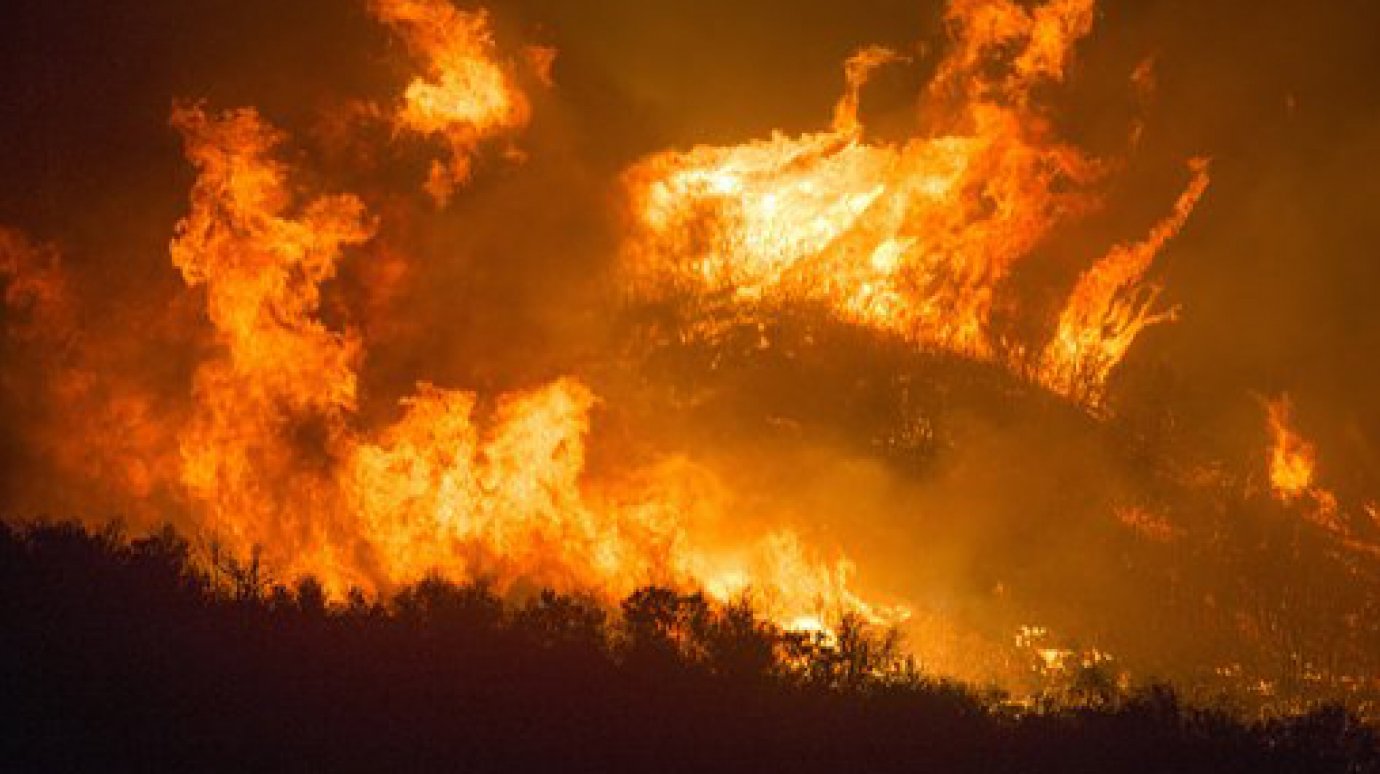 В Пензенской области с начала года сгорело больше 100 гектаров леса