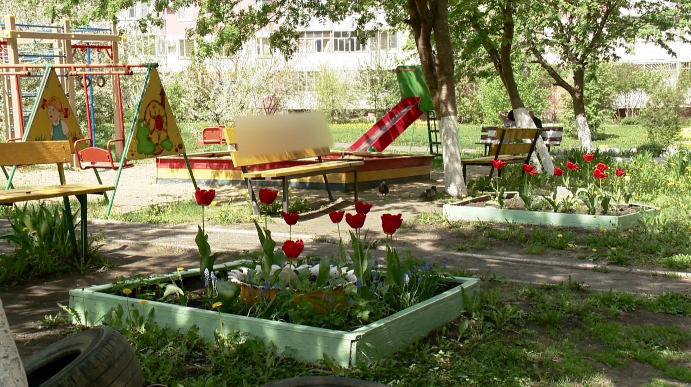 На Лядова, 36, жильцы трех подъездов выращивают цветы во дворе