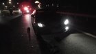 Пензенский автомобилист погиб в Рязанской области, столкнувшись с лосем