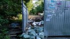 На Западной Поляне контейнерная площадка завалена мусором