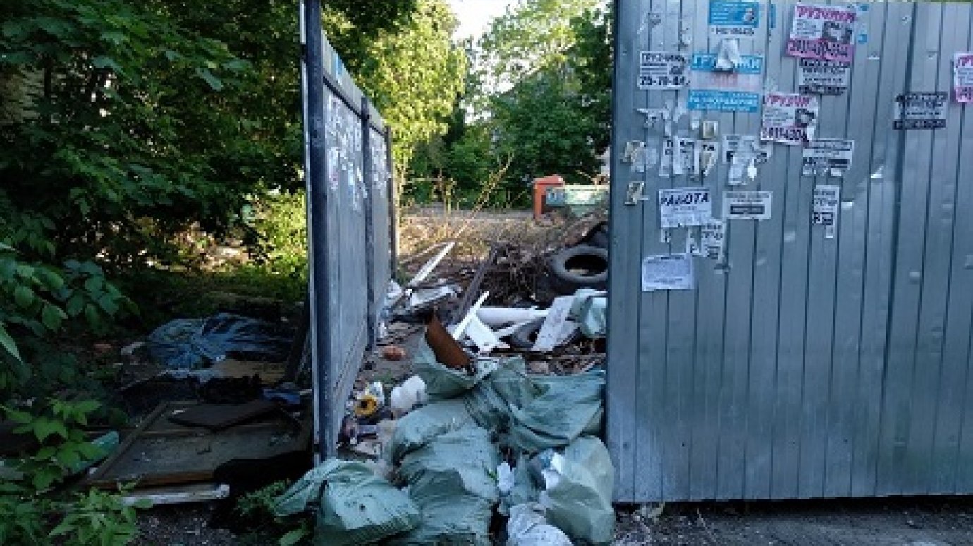 На Западной Поляне контейнерная площадка завалена мусором