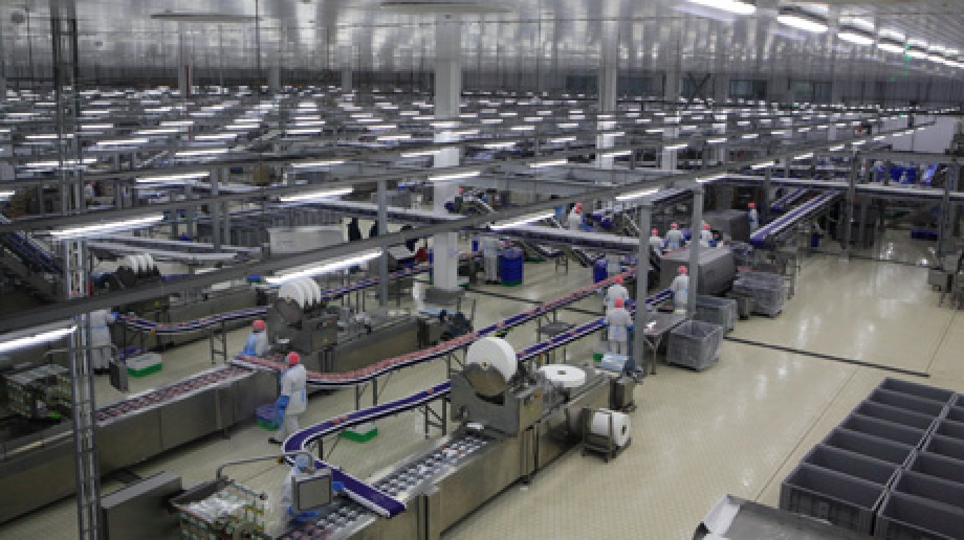 В области открыли крупнейший в Европе завод по переработке индейки