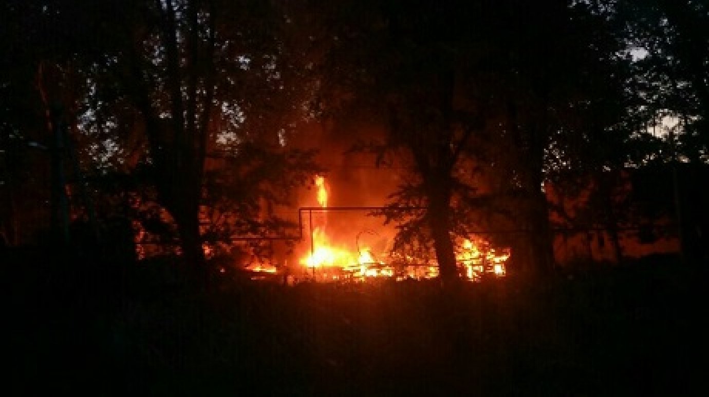 Причиной крупного пожара в Пензе могло стать скопление тополиного пуха