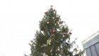 В Пензе управление ЖКХ раздробило сделку на украшение новогодних елок
