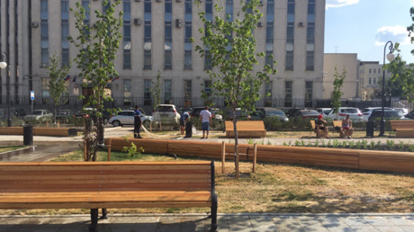 Пензенцы считают, что газон на площади Ленина уже не спасти