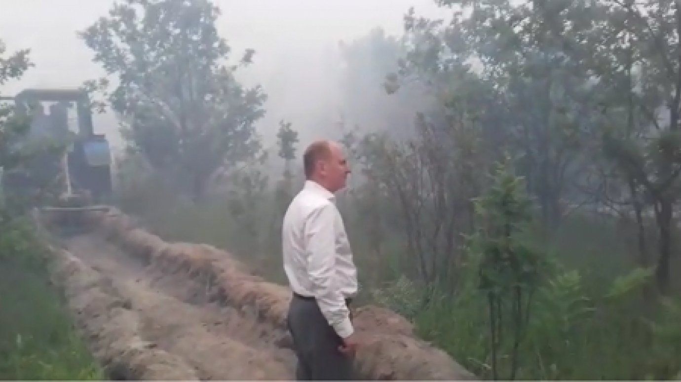 В Юрсовском лесничестве тушением пожара руководил министр