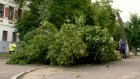 На улице Богданова крупная ветвь липы рухнула на автомобиль