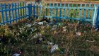 В селе Оленевка дети играют среди мусора
