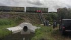 В Пензенской области расследуют ДТП с поездом и коровами