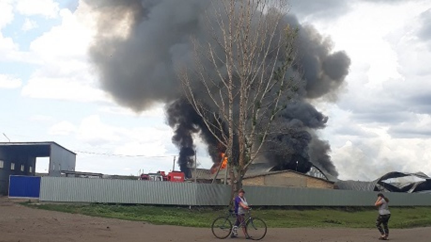В Колышлейском районе огонь уничтожил три ангара