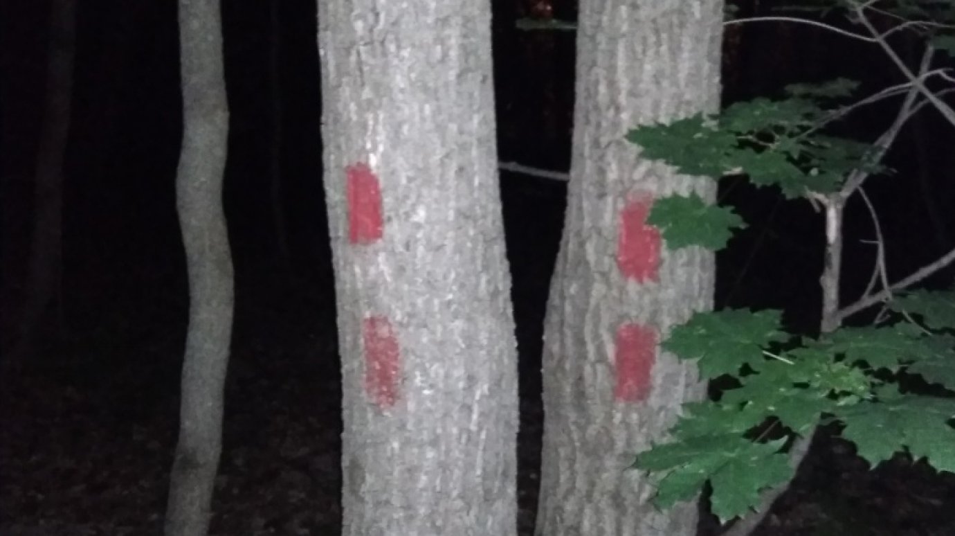 Жителям Западной Поляны объяснили значения поставленных на деревья меток