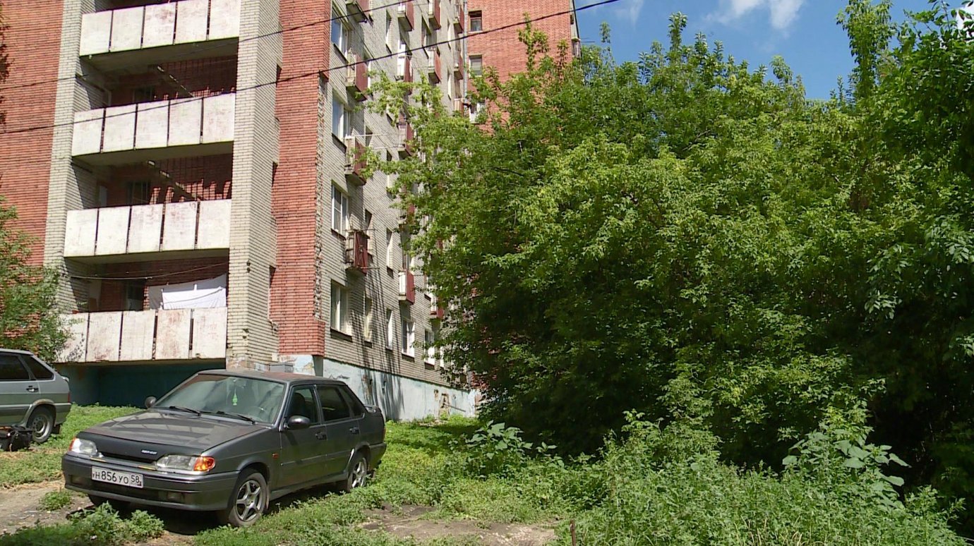 Ветки деревьев могут разбить окна жителям Минской, 23