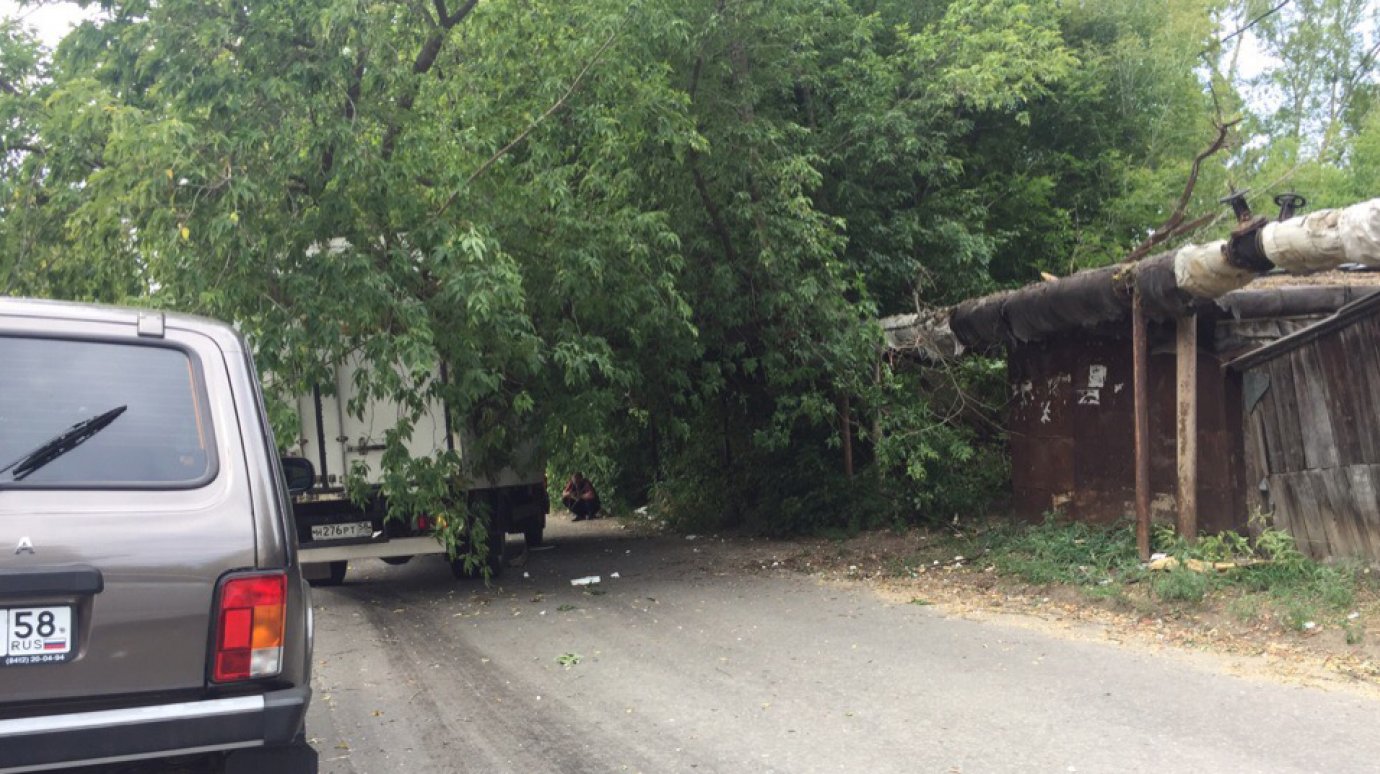 На улице Бурмистрова американский клен упал на грузовую машину