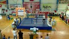 В Колышлее турнир по боксу собрал 60 спортсменов из 8 районов области