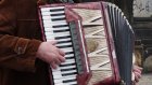 Пензенская полиция вернула сельчанину украденный аккордеон