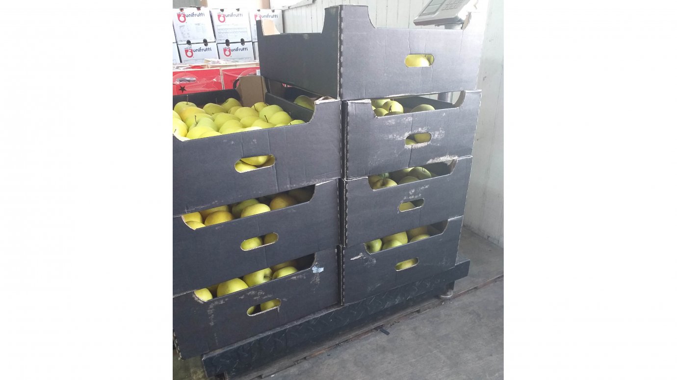 В Пензенской области уничтожили более 90 кг свежих яблок