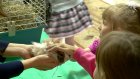 В Кичкилейке детям показали «Ковчег сказок» и животных