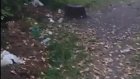 Пензячку возмутило обилие мусора в парке 40-летия Победы