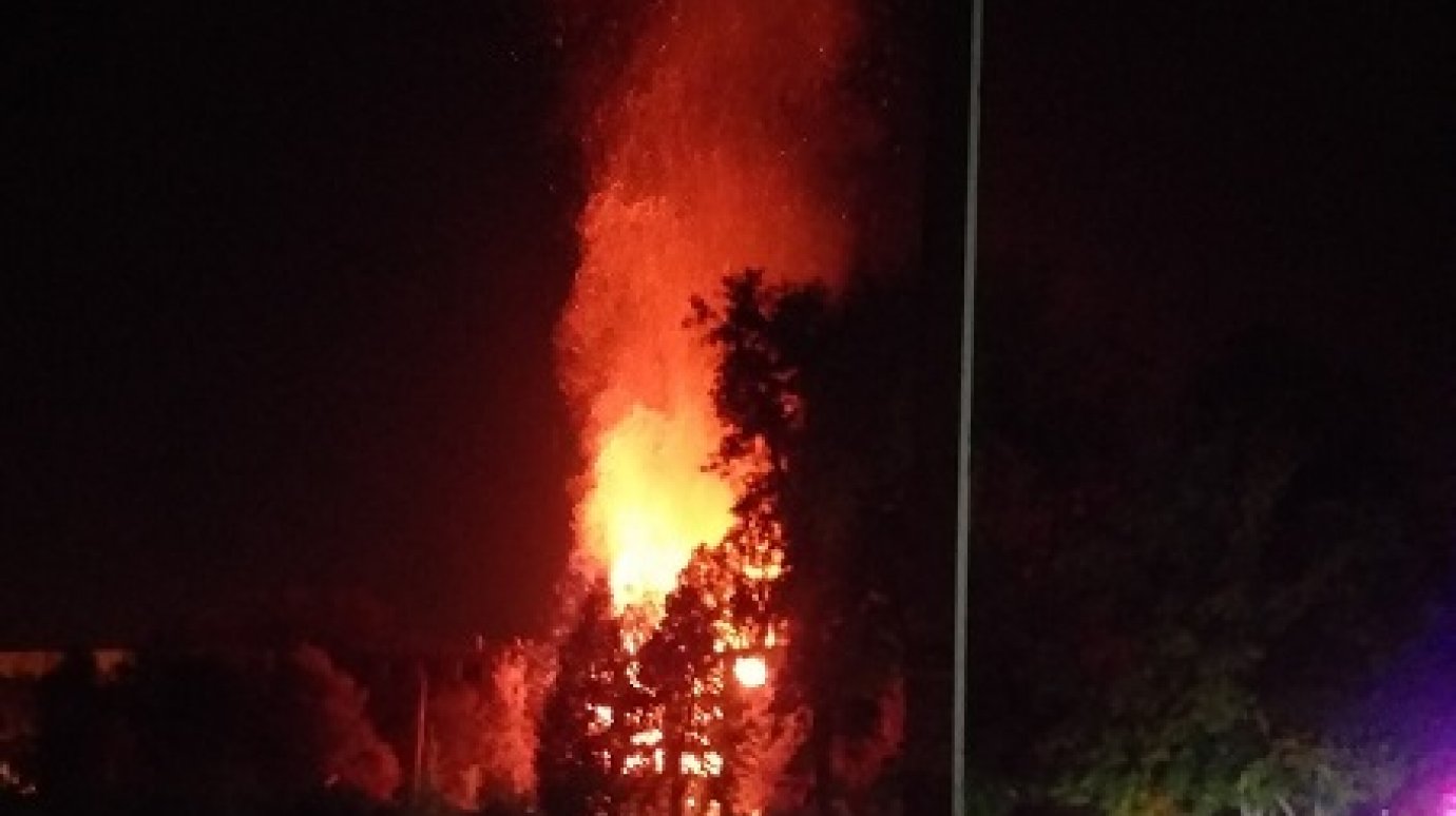 В Заводском районе Пензы сгорел еще один расселенный дом